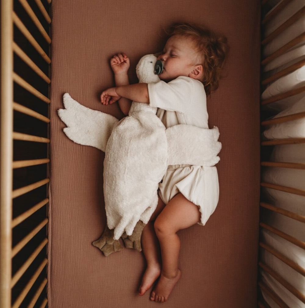 Curated Baby N°7
