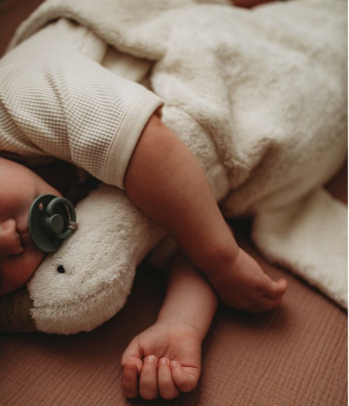 Curated Baby N°7